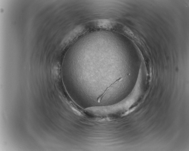 X0000087590424200705041514