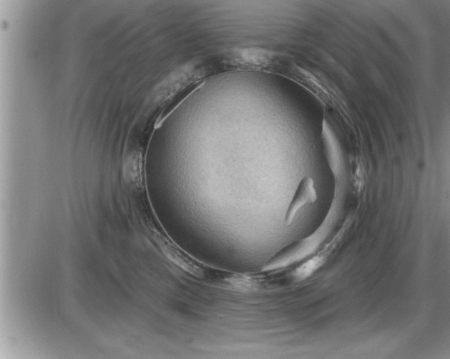 X0000087590425200705041514