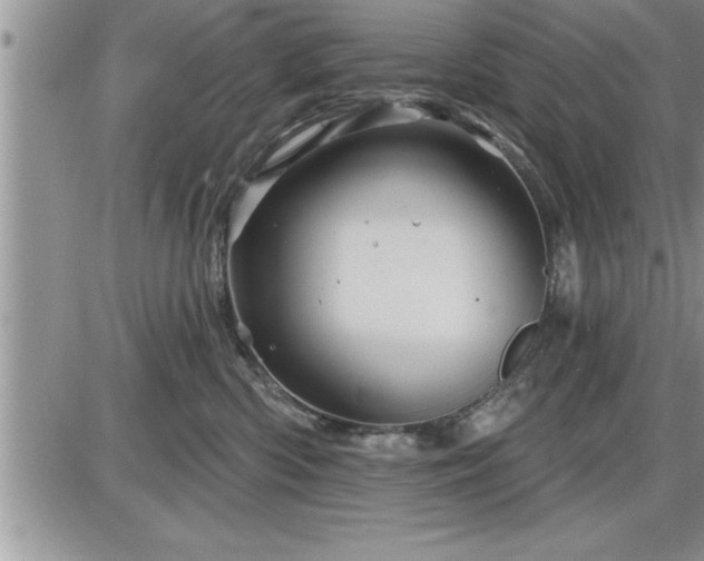 X0000087590426200705041514