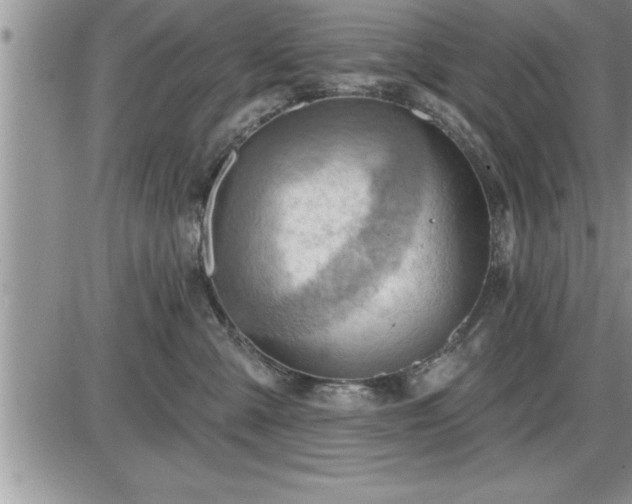 X0000087590427200705041514