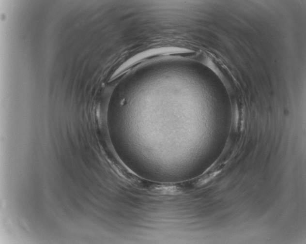 X0000087590428200705041514