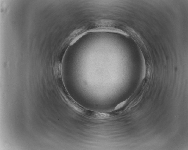 X0000087590429200705041514