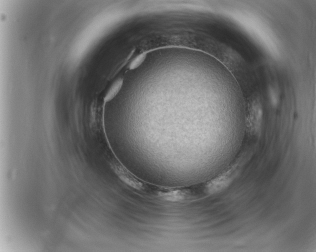 X0000087590430200705041513