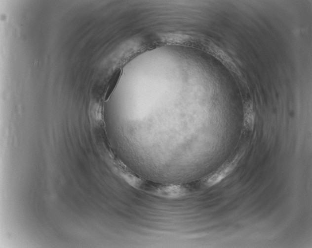 X0000087590431200705041513