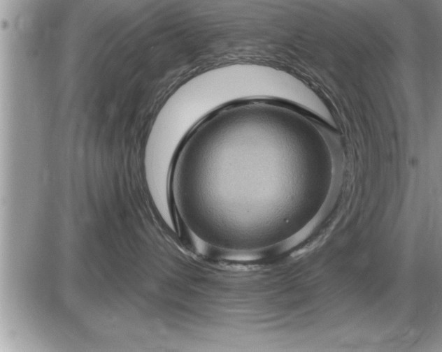 X0000087590432200705041513