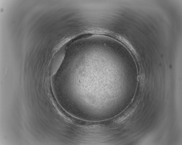 X0000087590433200705041513