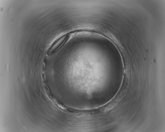 X0000087590434200705041513