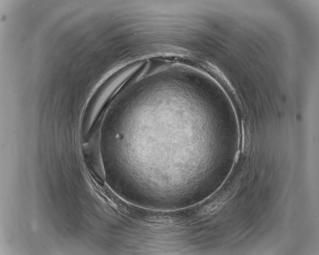 X0000087590435200705041513