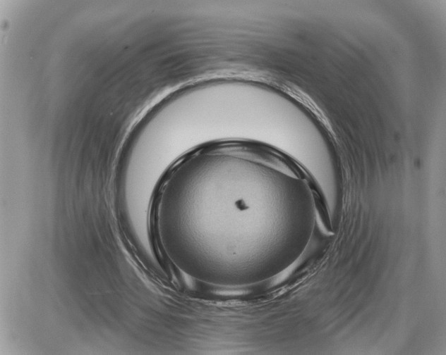 X0000087590436200705041513