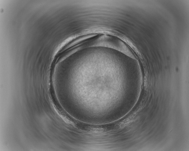 X0000087590438200705041513