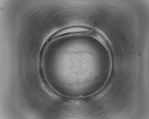 X0000087590439200705041513