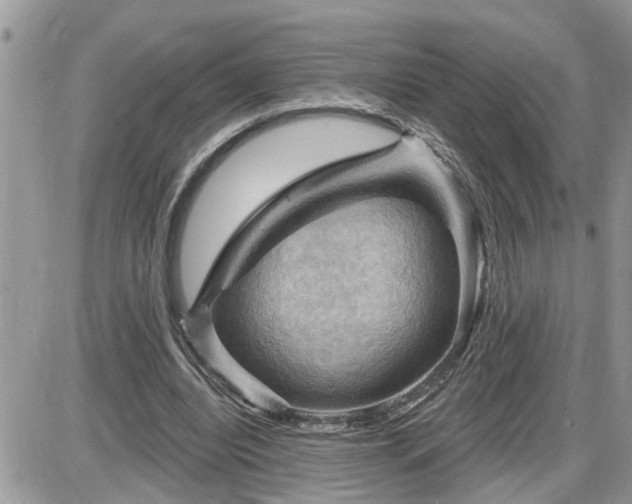 X0000087590440200705041513