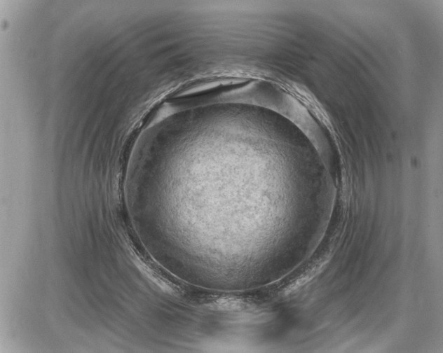 X0000087590441200705041513