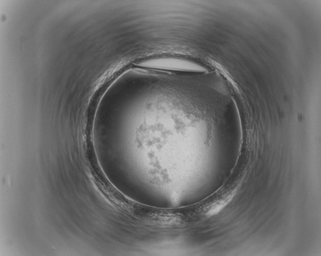 X0000087590443200705041513