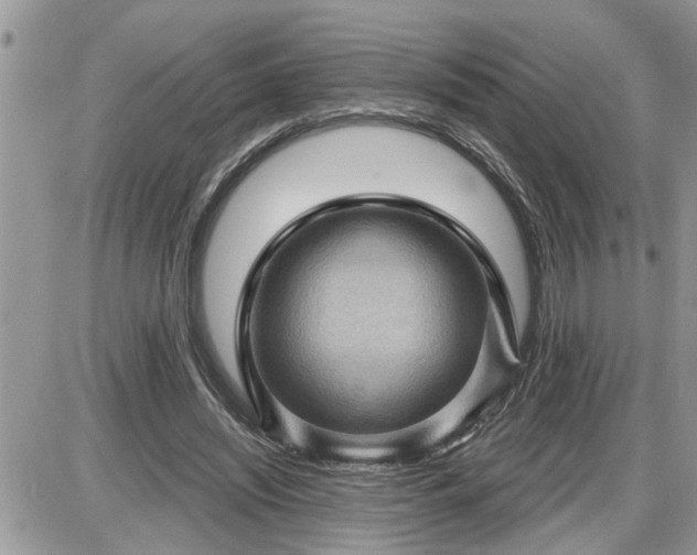 X0000087590444200705041513