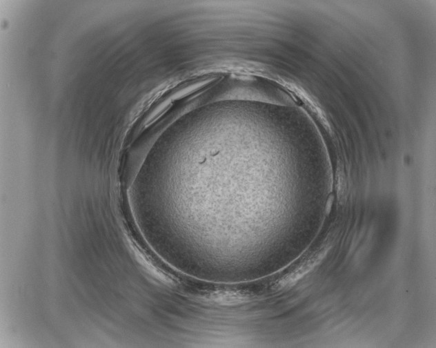 X0000087590445200705041513