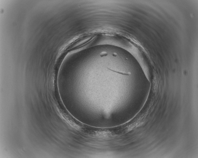 X0000087590446200705041513