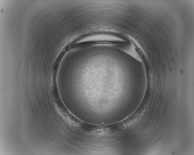 X0000087590447200705041513