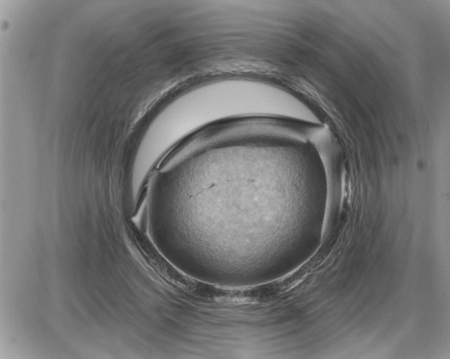 X0000087590448200705041513