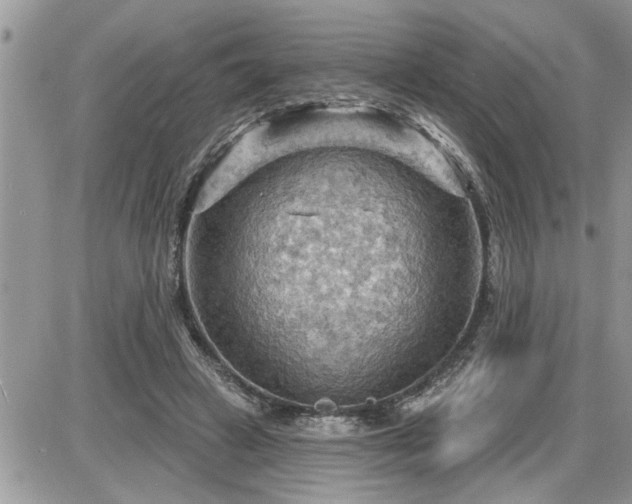 X0000087590449200705041513