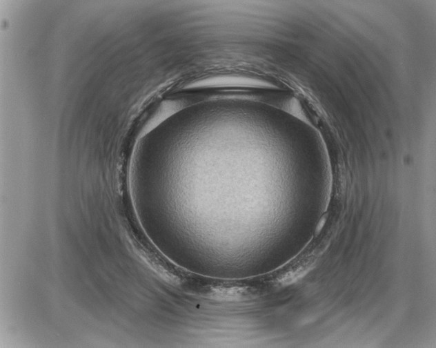 X0000087590450200705041513