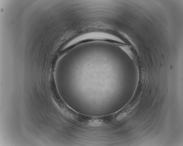 X0000087590451200705041513