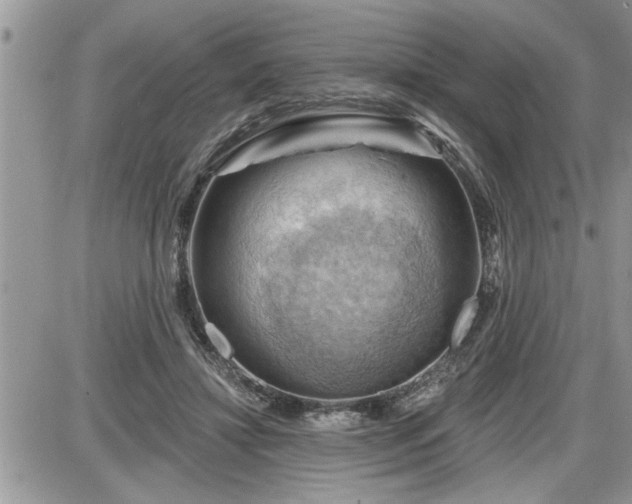 X0000087590452200705041513