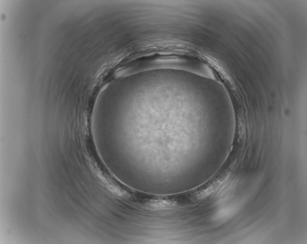 X0000087590453200705041513