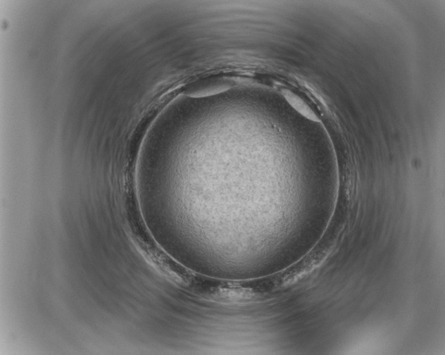 X0000087590455200705041513