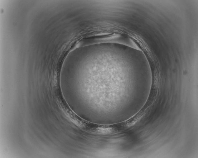 X0000087590457200705041513