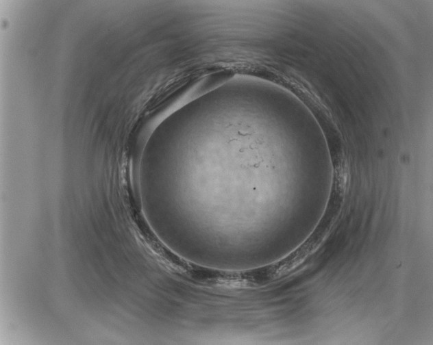 X0000087590458200705041513