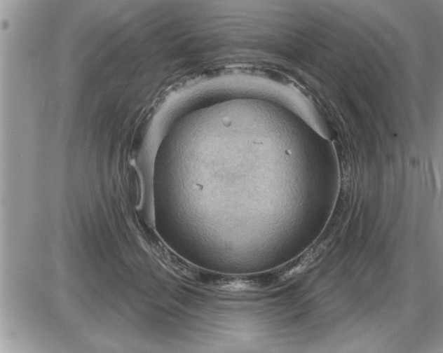 X0000087590460200705041513