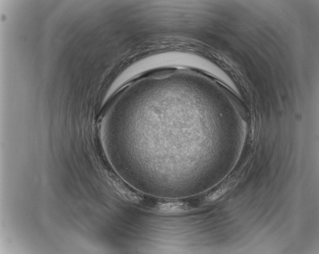 X0000087590461200705041513