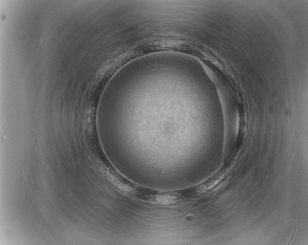 X0000087590462200705041513