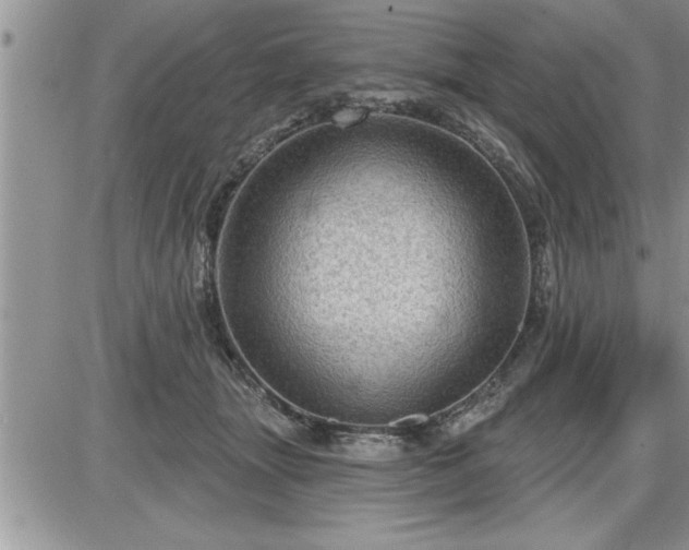 X0000087590463200705041513