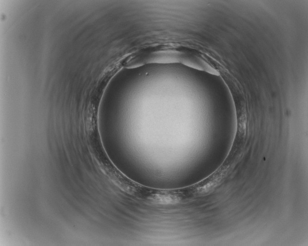 X0000087590464200705041513