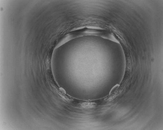 X0000087590465200705041513