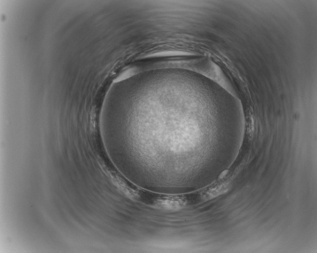 X0000087590466200705041513