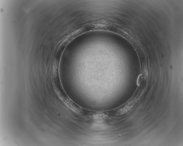 X0000087590468200705041513