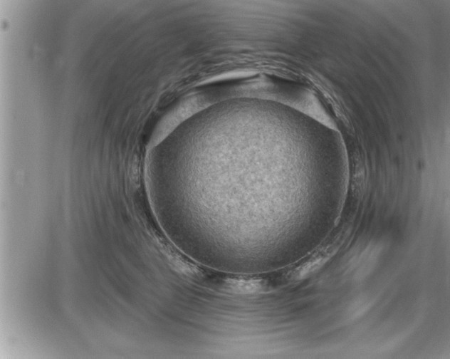 X0000087590469200705041513