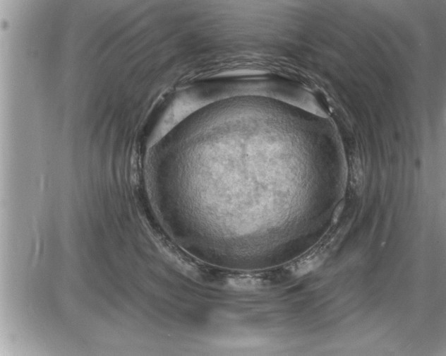 X0000087590470200705041513