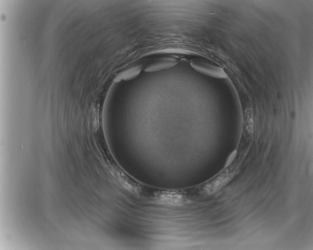 X0000087590471200705041513