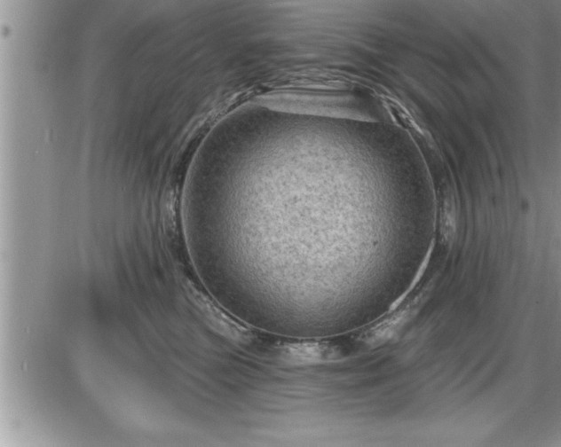 X0000087590473200705041513