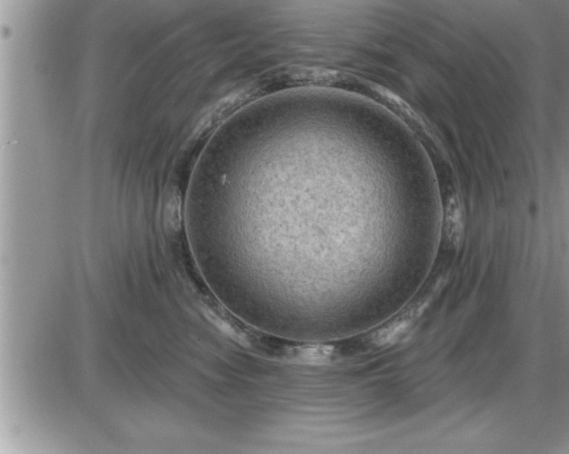 X0000087590474200705041513