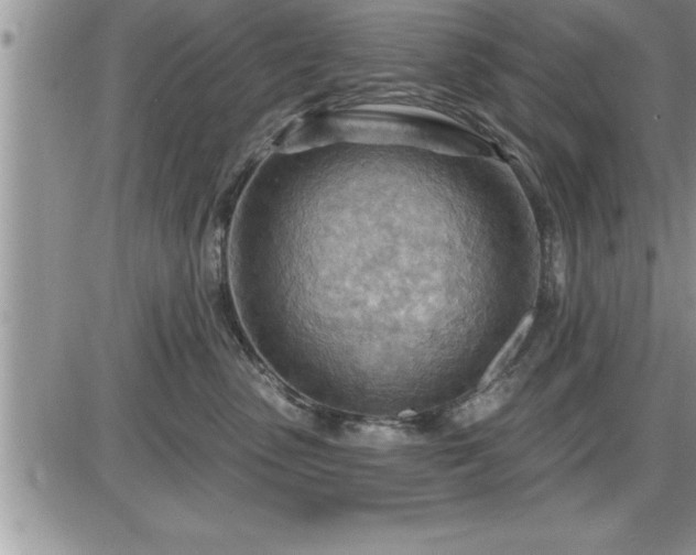 X0000087590475200705041513