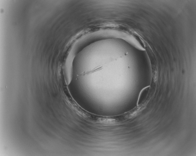 X0000087590476200705041513