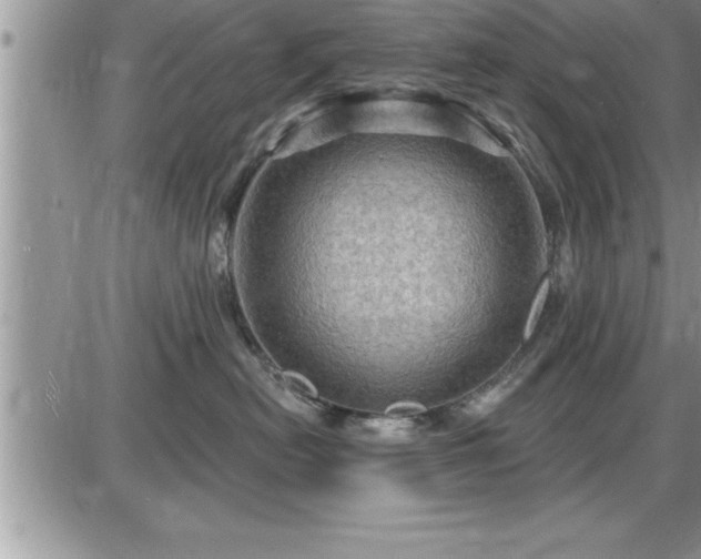 X0000087590478200705041513