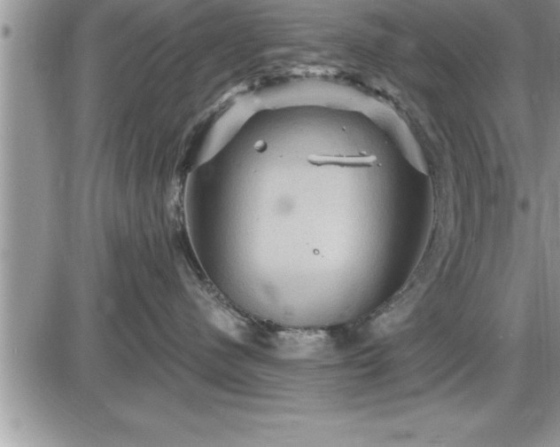 X0000087590480200705041513