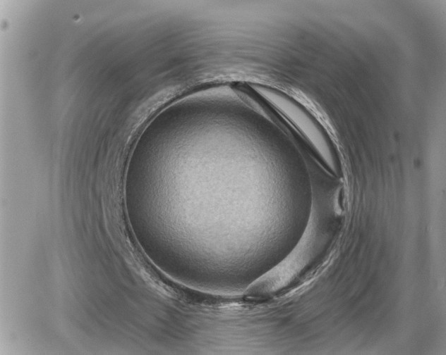 X0000087590481200705041513