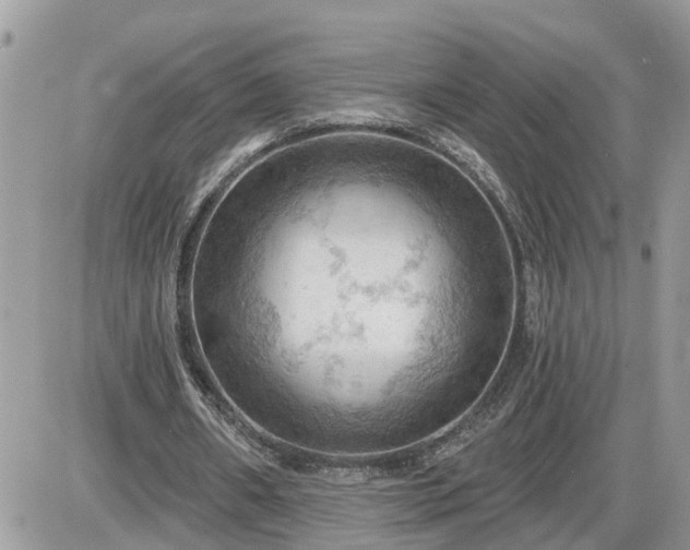 X0000087590482200705041513